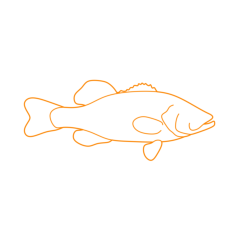 Animals Freshwater Fish Largemouth Bass Silhouette Cutting Svg Files, Free Vectors File